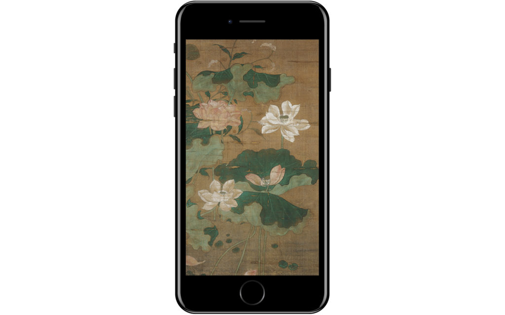iPhone with picture of Lotus